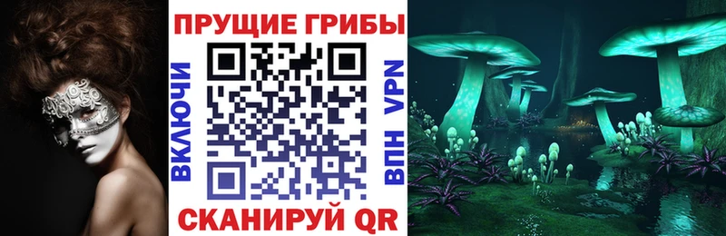 Галлюциногенные грибы MAGIC MUSHROOMS Саянск